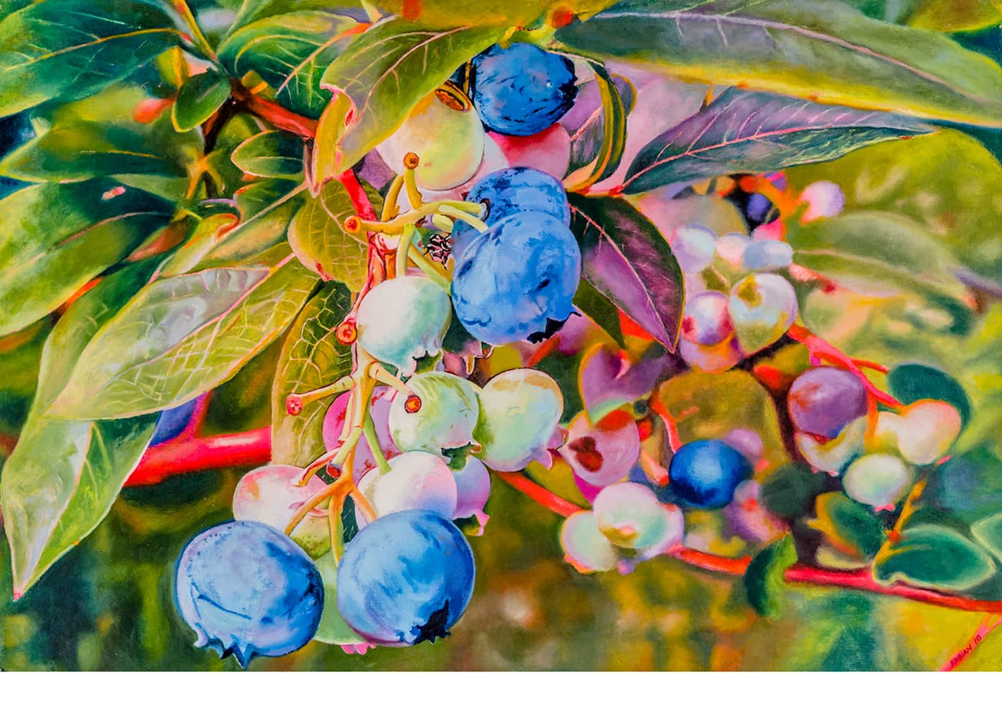 Blueberry