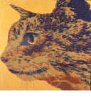 Cat II