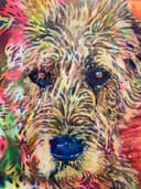 Wolfhound