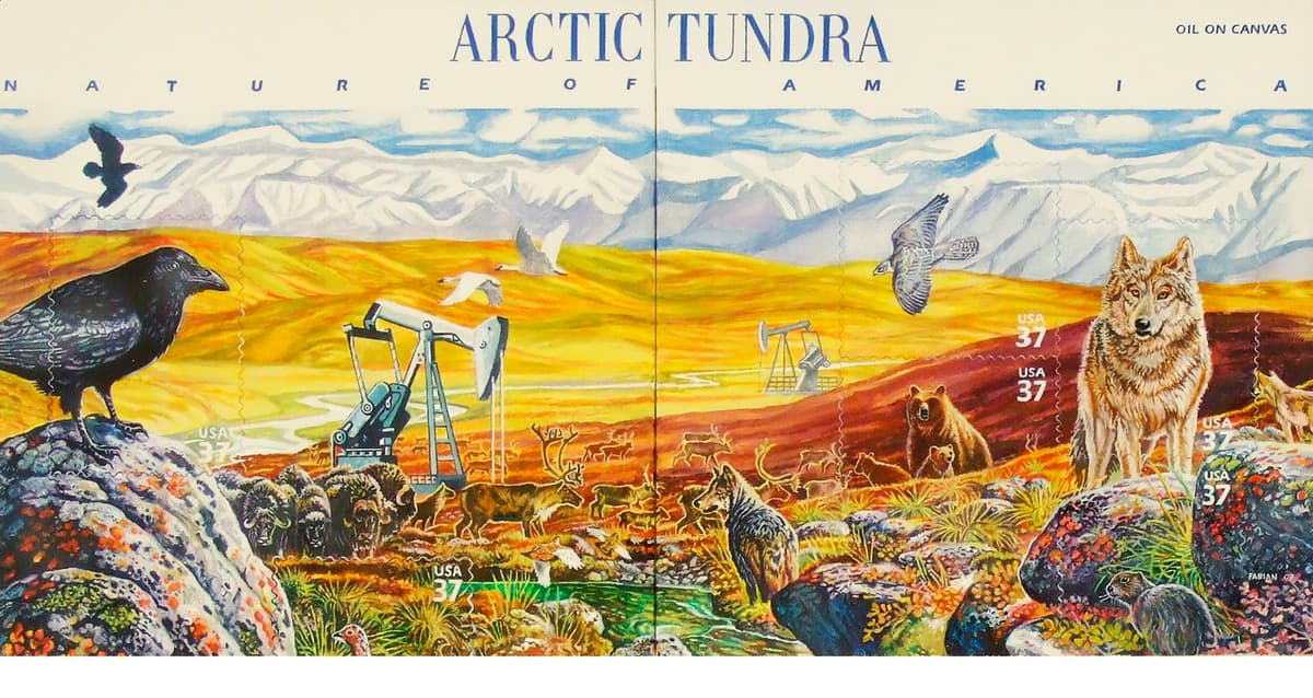 Arctic Tundra II