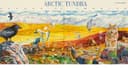 Arctic Tundra II