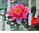 Flower 2