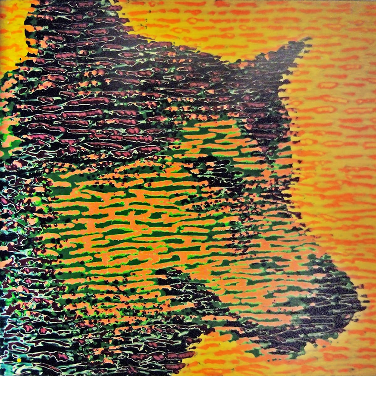 Koogie