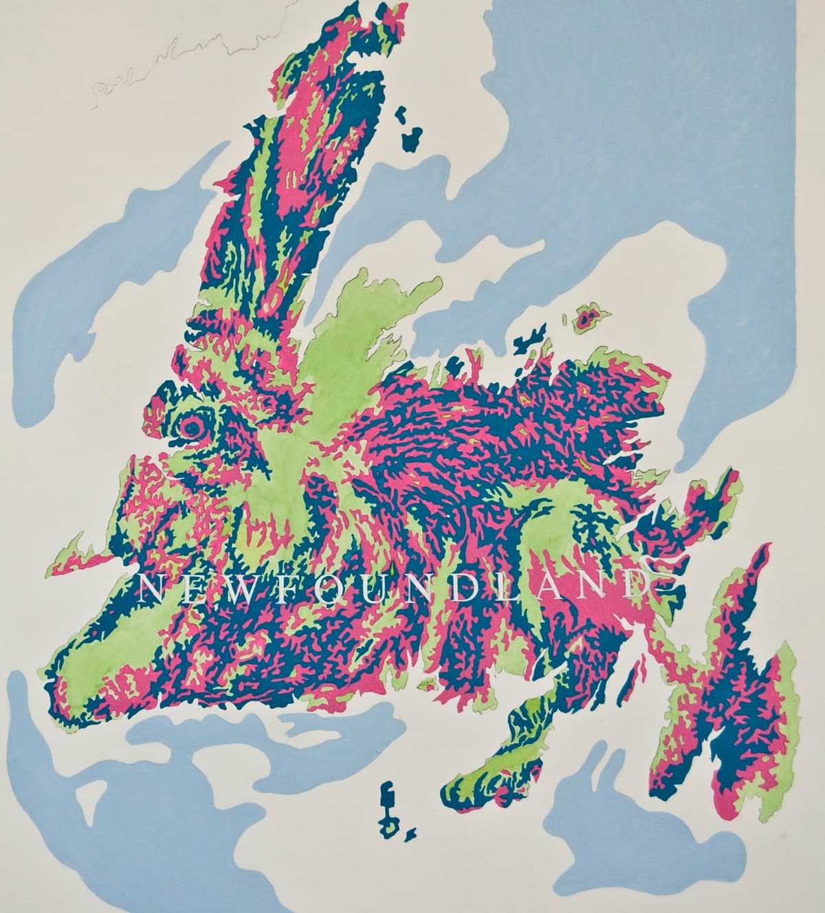 Newfoundland (Drawing)