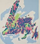Newfoundland (Drawing)
