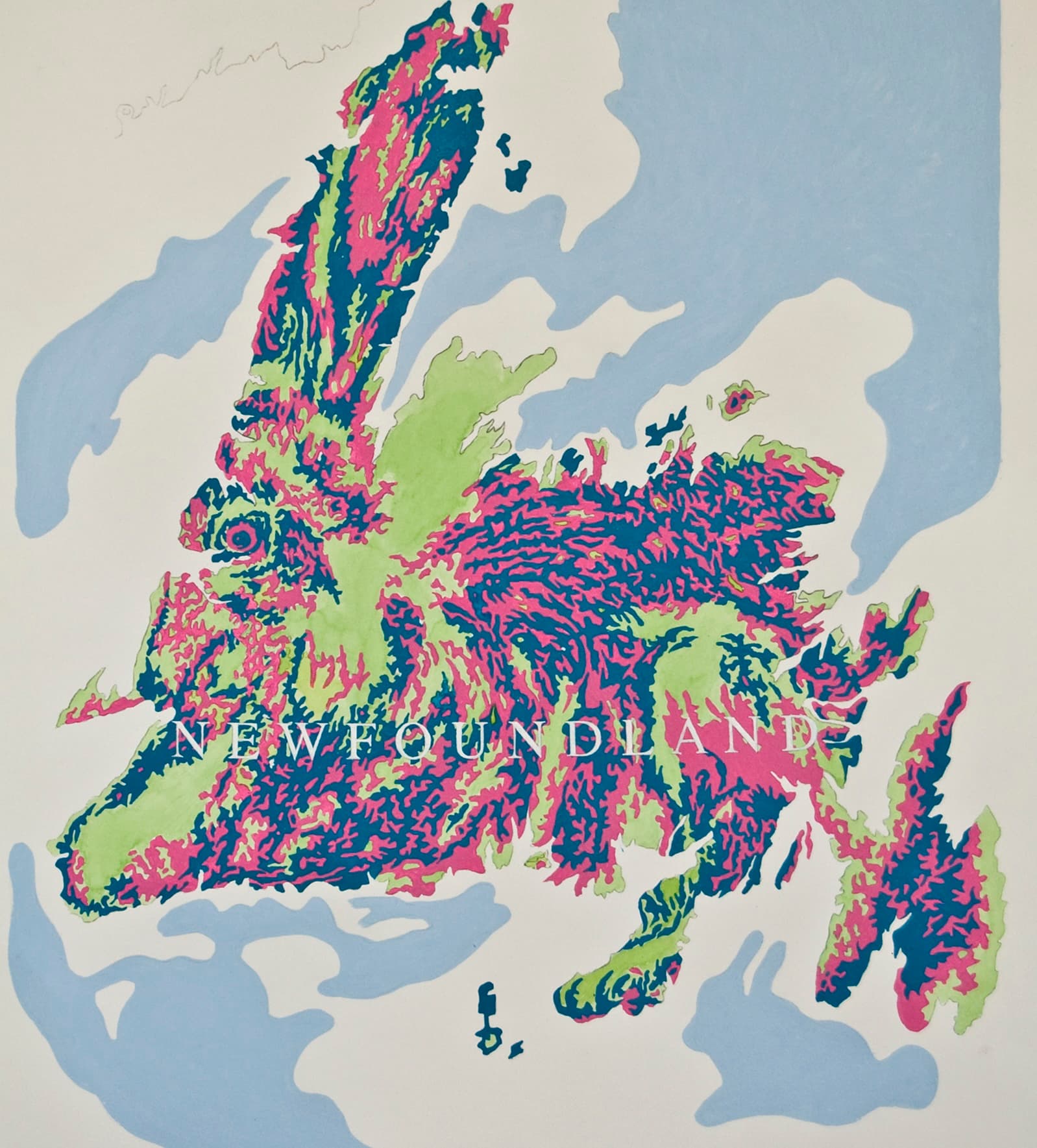 Newfoundland (Drawing)