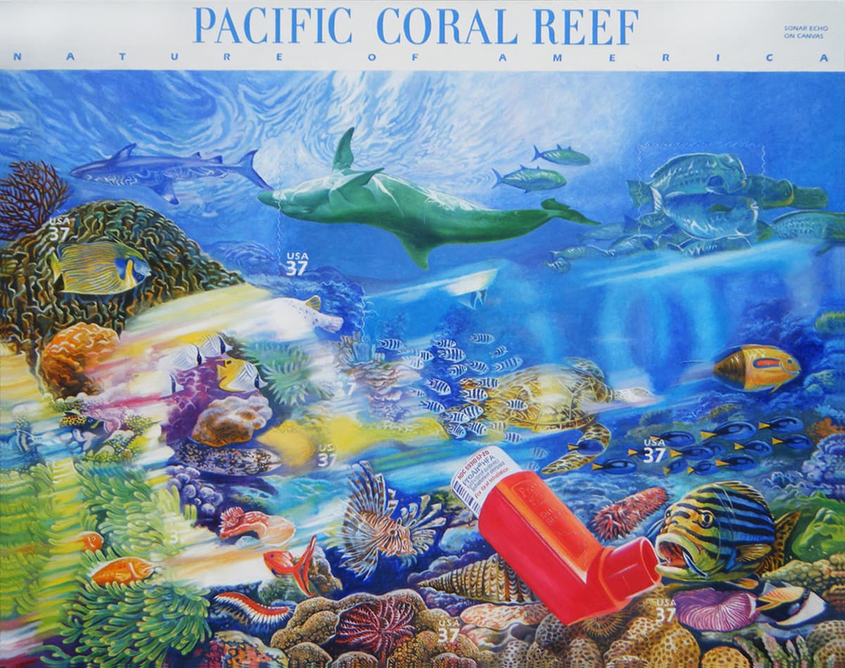 Pacific Coral