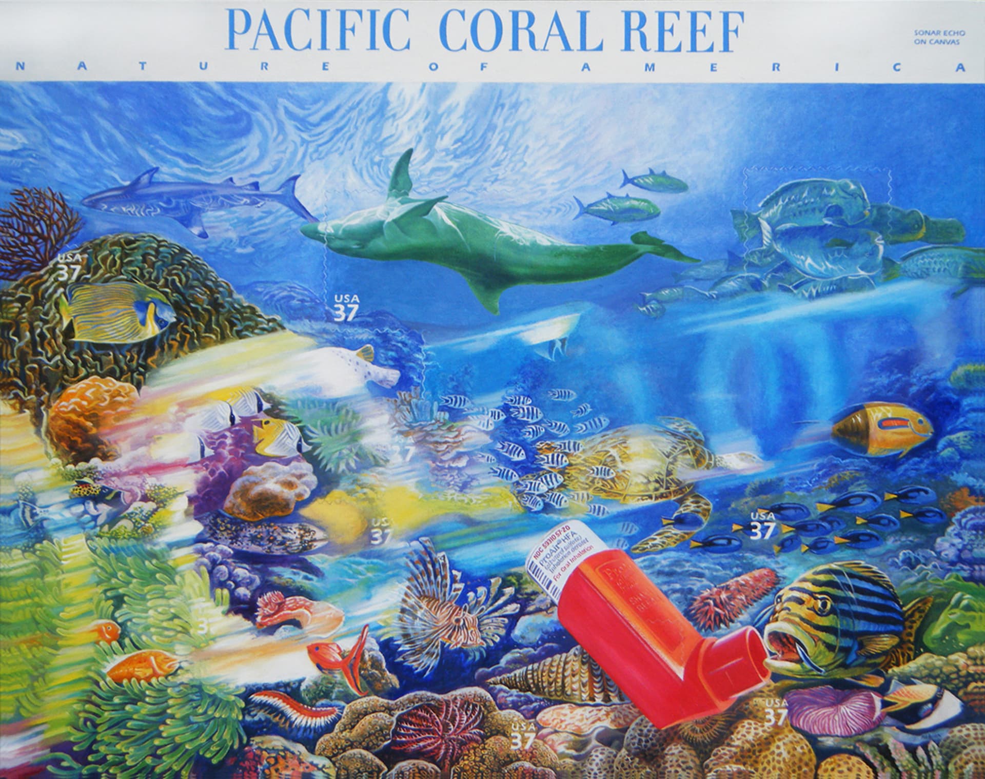 Pacific Coral