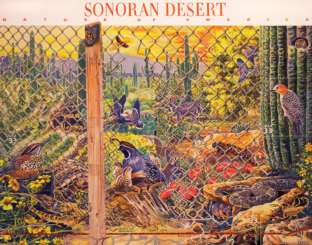 Sonoran Desert