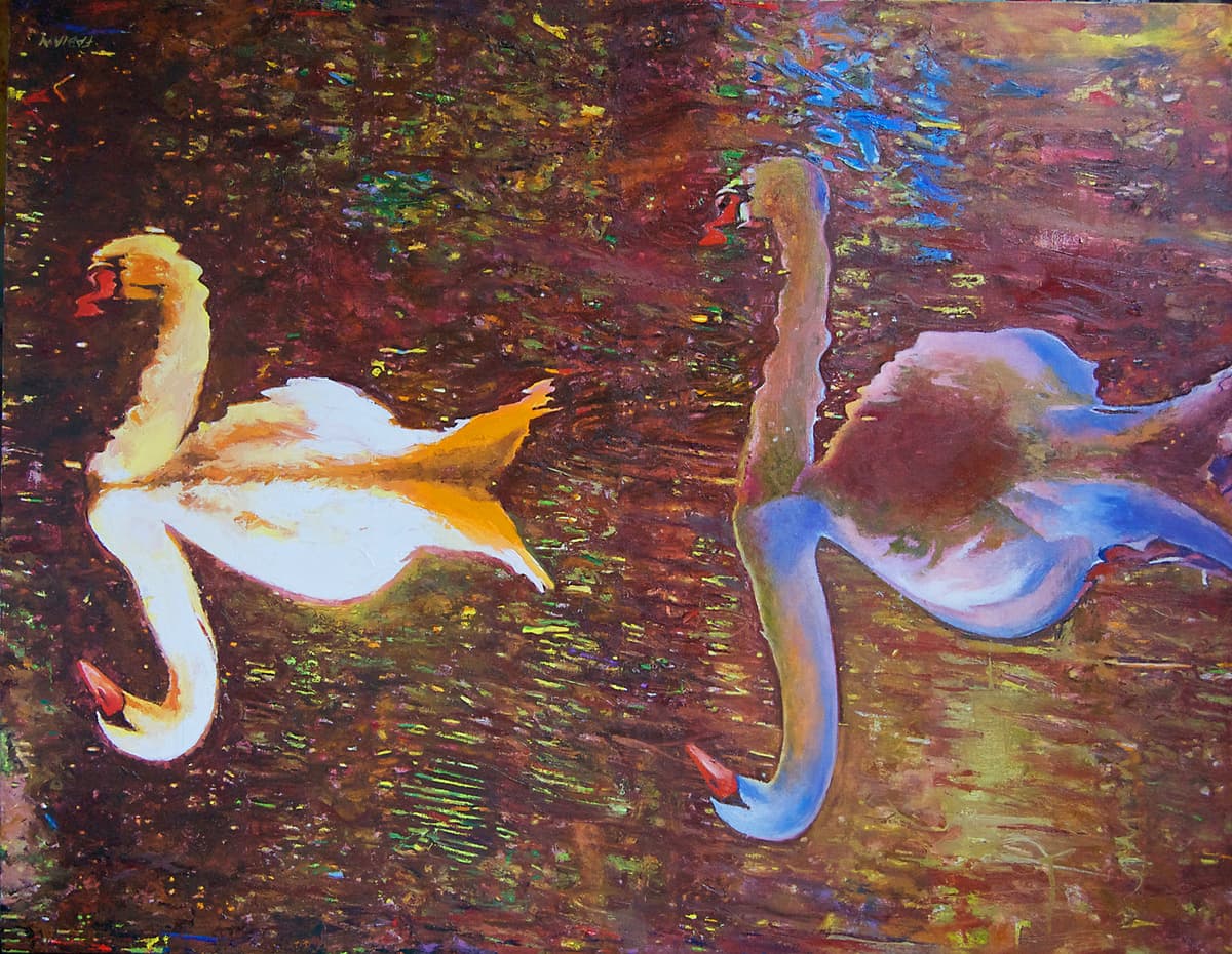 Swans