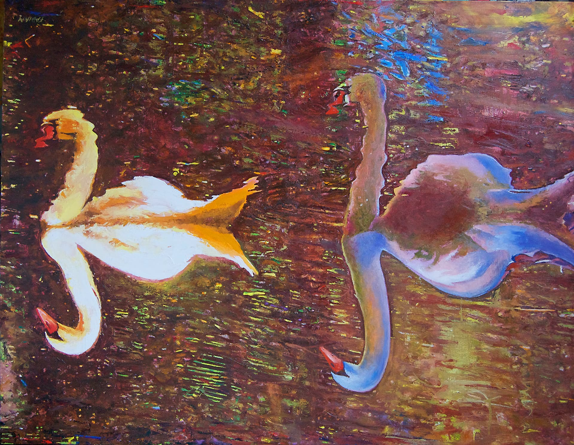 Swans